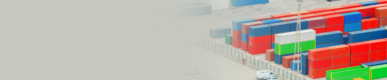 Trade Credit Insurance